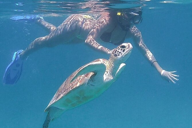 Full-Day Snorkeling Tour to Culebra Island with Lunch - Snorkeling is guided, not simply dropped off