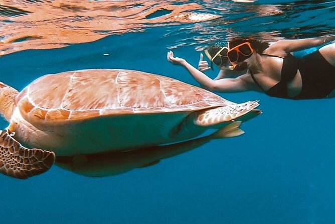 Full-Day Snorkeling Tour to Culebra Island with Lunch - Safety and interpretation are handled seriously