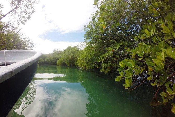 Full-Day Tour to Punta Rucia and Cayo Arena with Snorkeling - The market stop on the way home