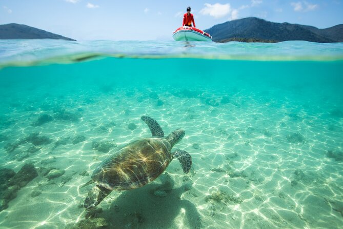 Full-Day Whitsunday Sail and Snorkel Adventure with Lunch - Snorkeling with gear provided, but no fins