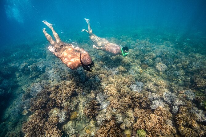 Full-Day Whitsunday Sail and Snorkel Adventure with Lunch - Banana boat rides and extra water fun