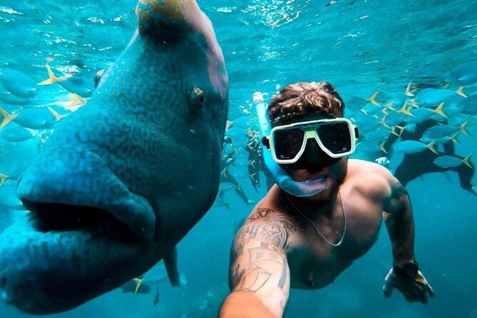 Full-Day Whitsunday Sail and Snorkel Adventure with Lunch - Who will enjoy this full-day outing?