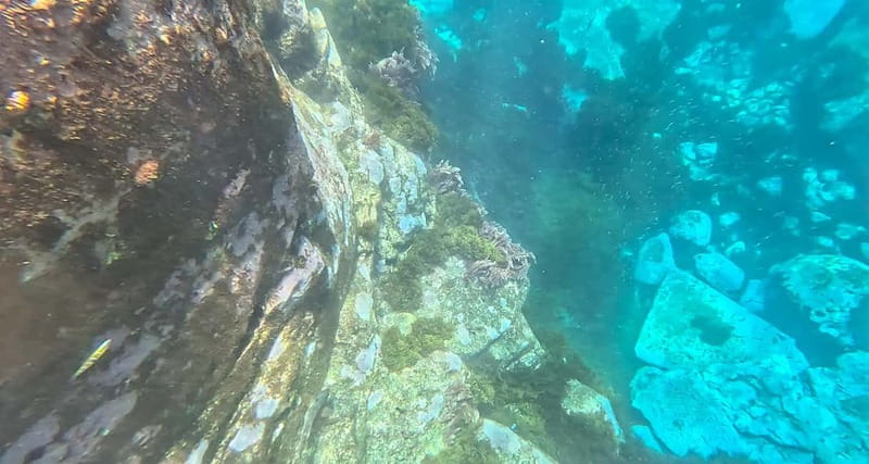 Funchal: Kayak and Snorkel Tour to Garajau NR - Reaching Praia do Lazareto and Garajau Natural Reserve