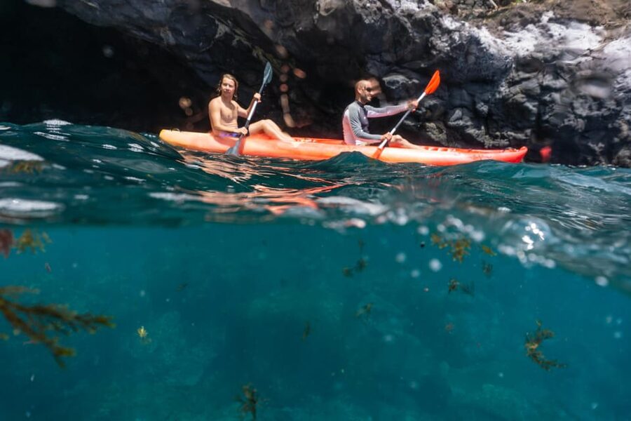 Funchal: KAYAK Rental or Guided tour with snorkeling - Key points to know before booking