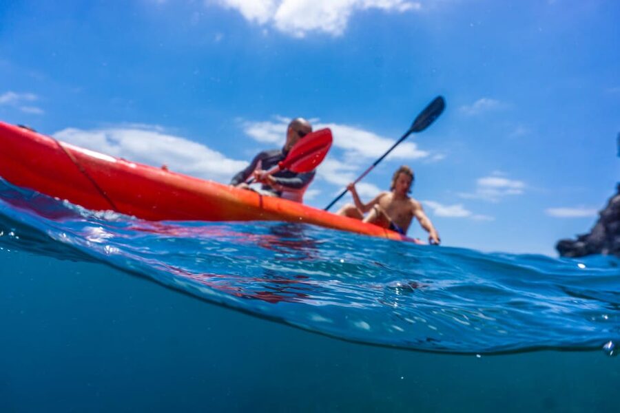Funchal: KAYAK Rental or Guided tour with snorkeling - Starting below the Pestana Carlton