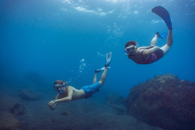 Funchal: Snorkeling Adventure in Eco-Park / Shore or by Boat - The water may feel warm, but plan for Atlantic chill