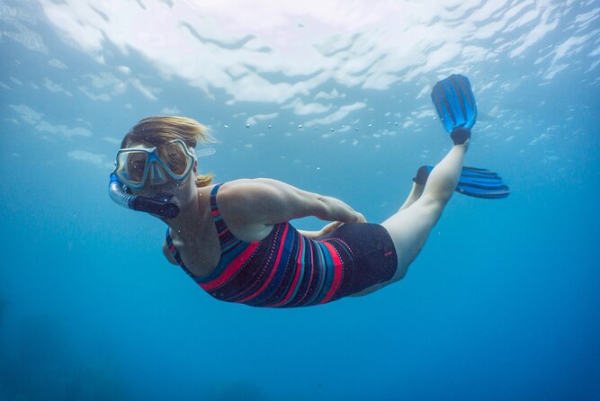 Funchal: Snorkeling Adventure in Eco-Park / Shore or by Boat - How beginner-friendly is it?