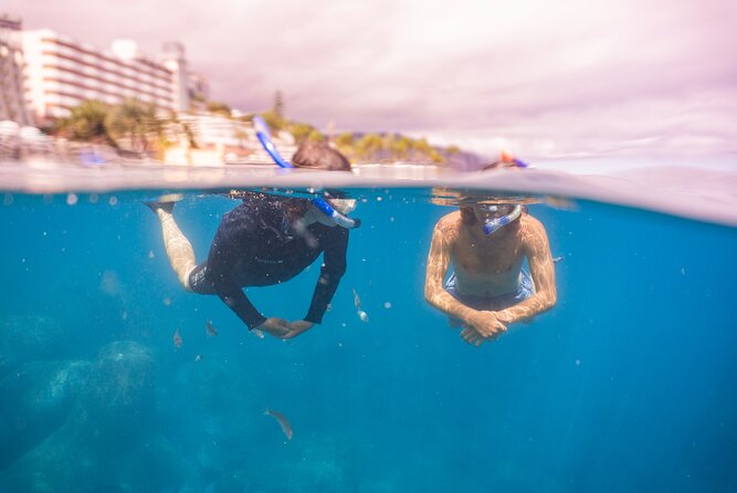 Funchal: Snorkeling Adventure in Eco-Park / Shore or by Boat - Why the $17 price is strong value
