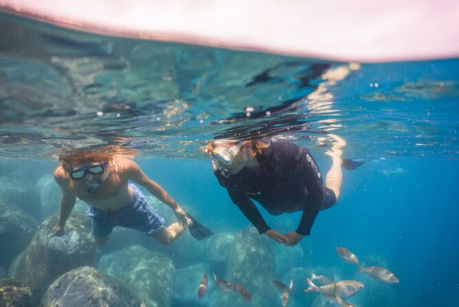 Funchal: Snorkeling Adventure in Eco-Park / Shore or by Boat - Finding the center inside the Pestana Carlton