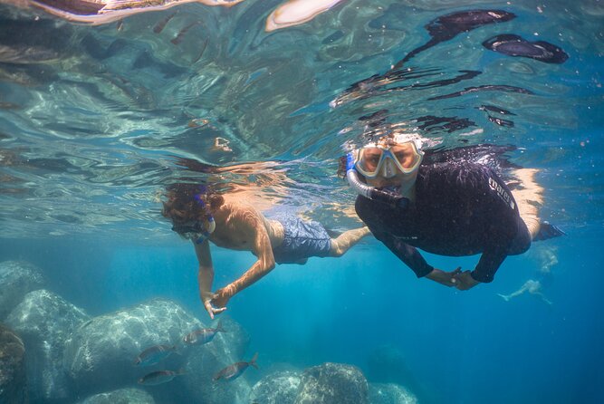 Funchal: Snorkeling Adventure in Eco-Park / Shore or by Boat - Choose between the house reef and the protected marine reserve