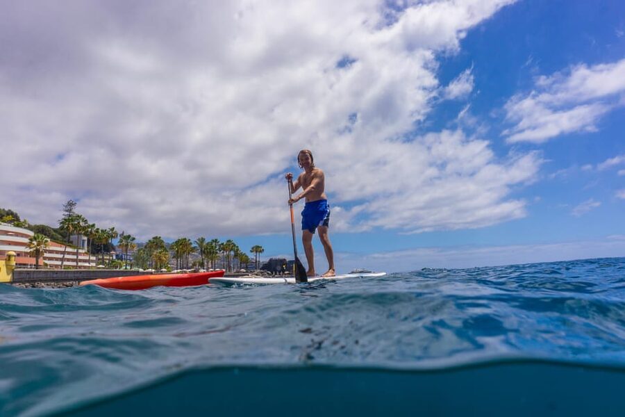 Funchal: SUP Rental or Guided tour with snorkeling - Key points to know before booking