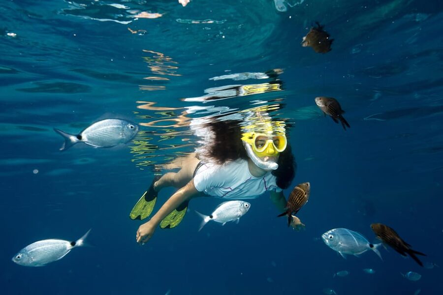 Genoa: snorkeling a stone's throw from downtown - Key points at a glance