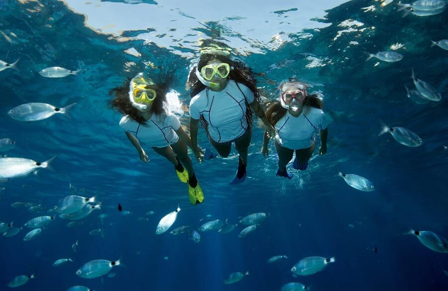 Genoa: snorkeling a stone's throw from downtown - What makes snorkeling here different
