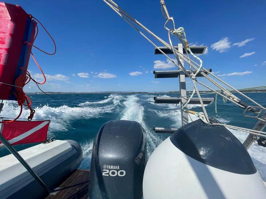 Giglio Island (Tuscania): Tour and snorkelling on a dinghy - From Torre di Albegna to Giglio Island