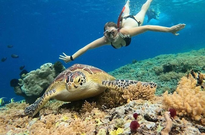 Gili Air: Snorkeling 3 Gili Islands with GoPro Camera - Turtle Point: the best chance for a memorable sight