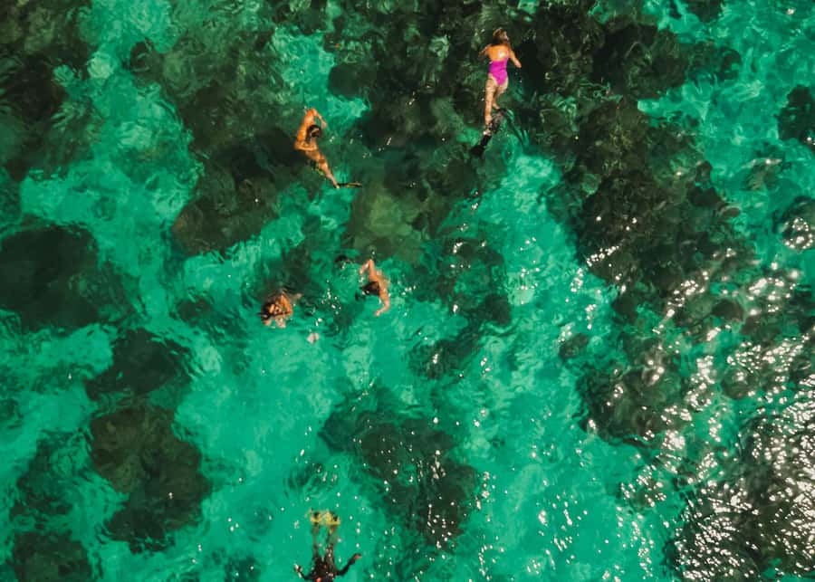 Gili Islands: 4-in-1 Catamaran Snorkeling Experience - Two buffet meals with a local and Western mix
