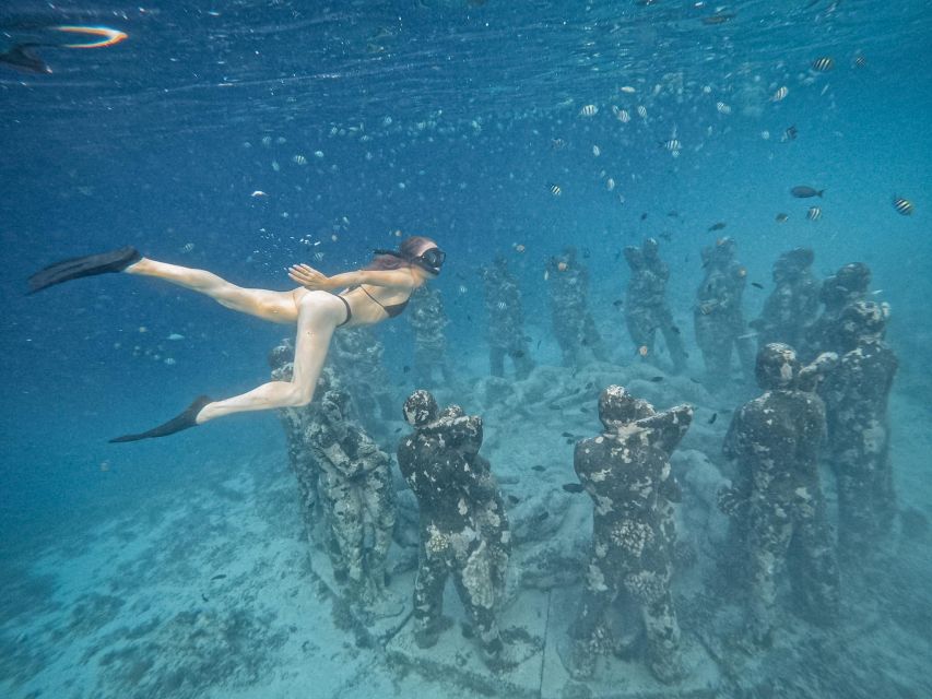 Gili Islands: Group or Private Snorkeling Tour with GoPro - Sea turtles and the reef