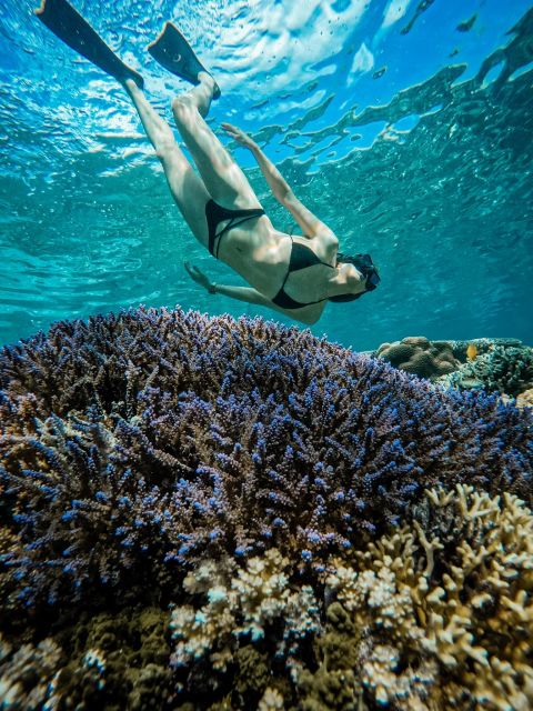 Gili Islands: Group or Private Snorkeling Tour with GoPro - What the Deluxe option adds at Gili Meno