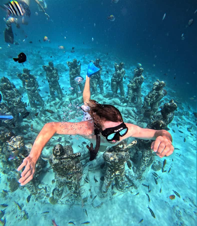 Gili Islands: Private or Shared Snorkeling Boat Trip - Who should book this Gili Islands trip?