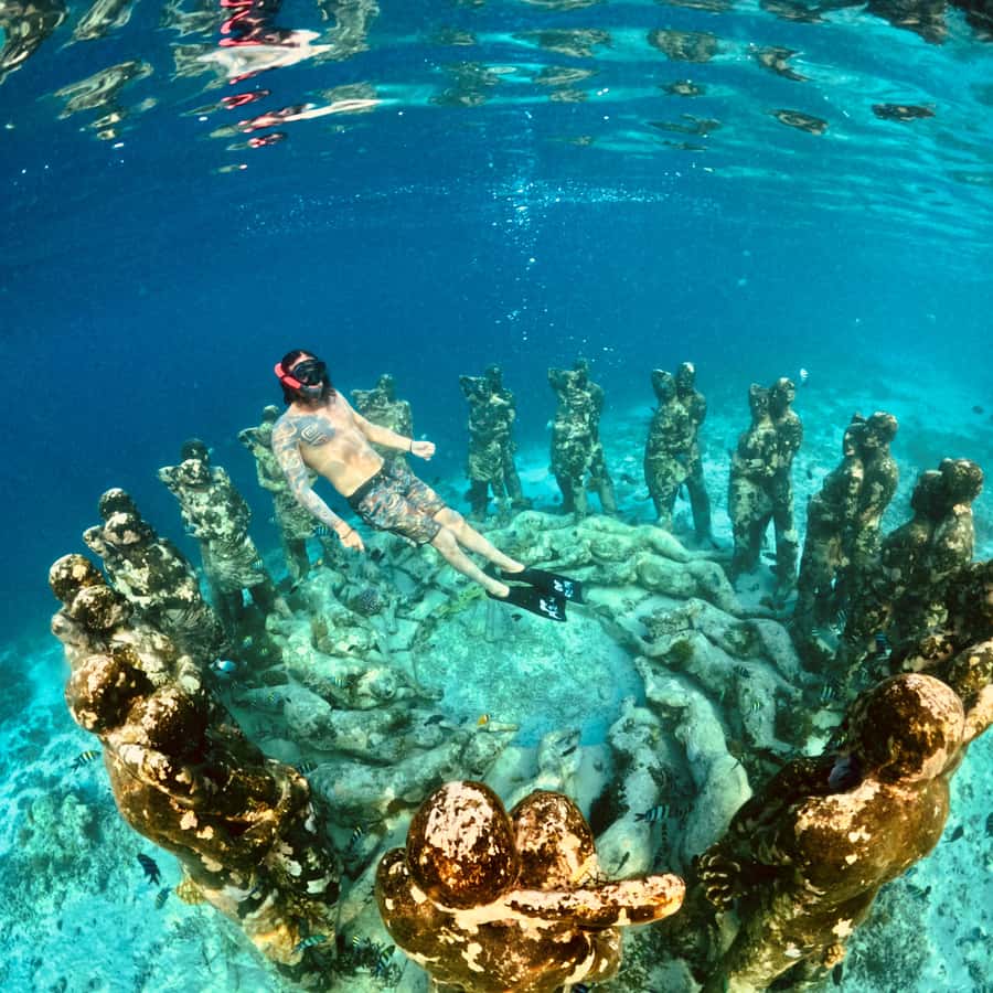 Gili Islands: Private or Shared Snorkeling Boat Trip - Turtle Paradise near Gili Meno