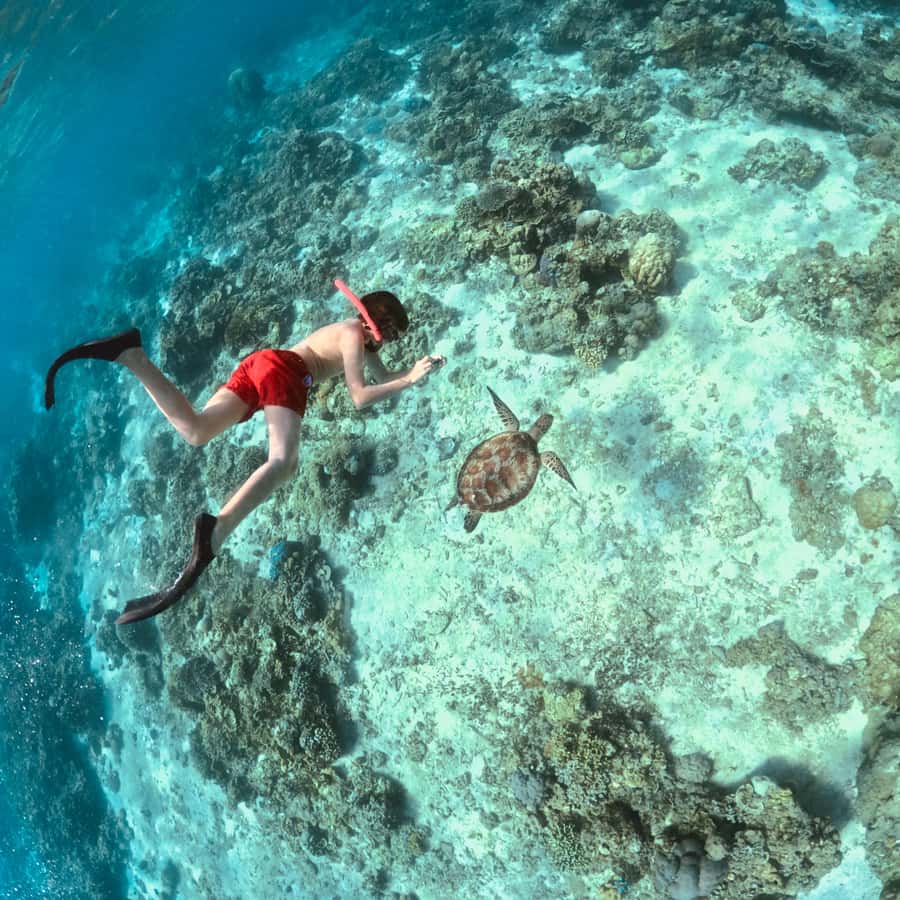 Gili Islands: Private or Shared Snorkeling Boat Trip - The Gili Meno underwater statues