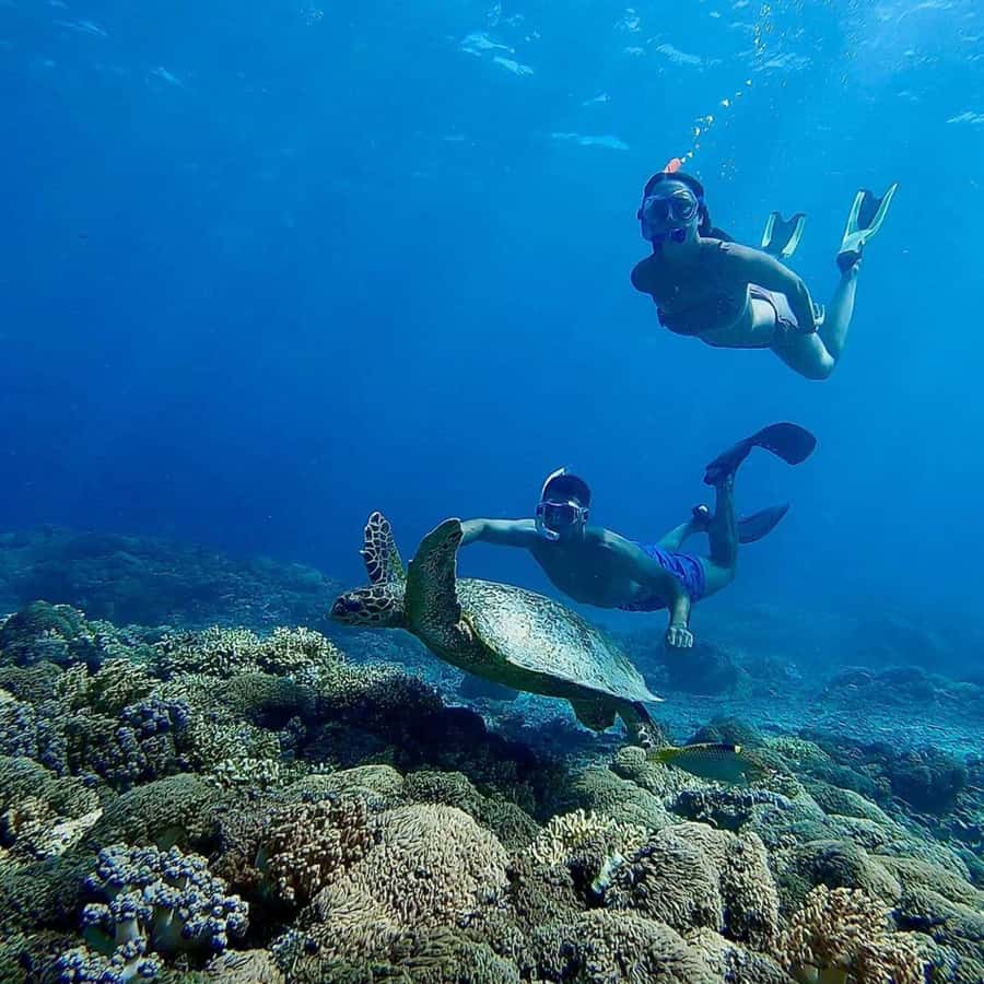 Gili Islands: Private Snorkeling Boat Tour with Local Guide - Gili Air: lovely in theory, but confirm the route
