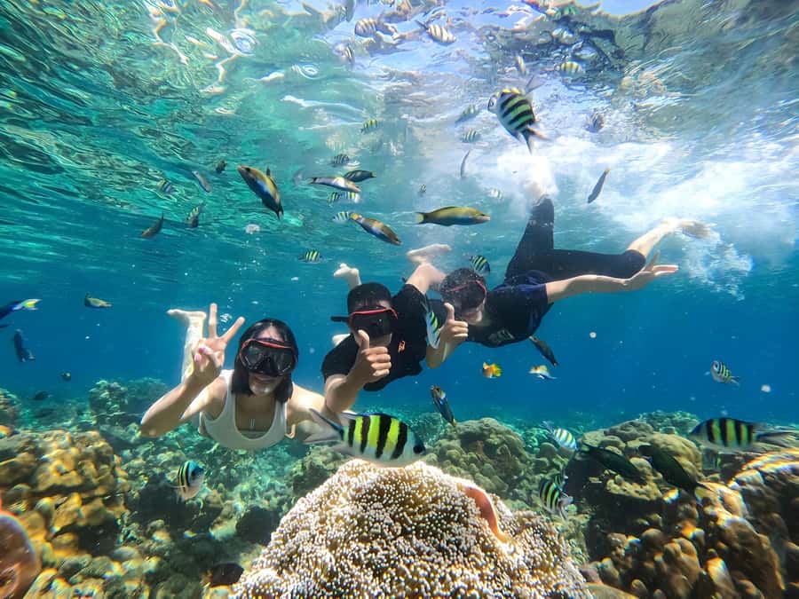 Gili Islands: Private Snorkeling Boat Tour with Local Guide - How good is the value at $46?