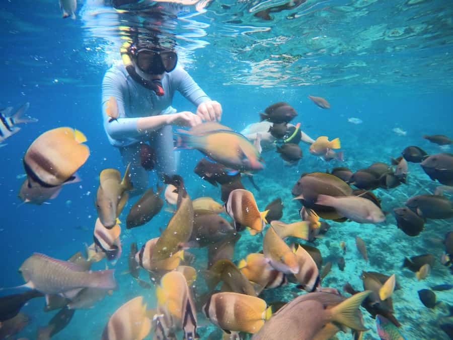 Gili Islands: Private Snorkeling Boat Tour with Local Guide - Timing, comfort, and small practical matters