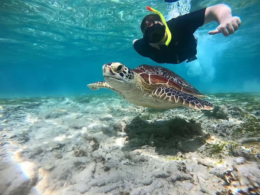 Gili Islands: Private Snorkeling Boat Tour with Local Guide - Setting out from Lombok, Gili Air, or Gili Trawangan