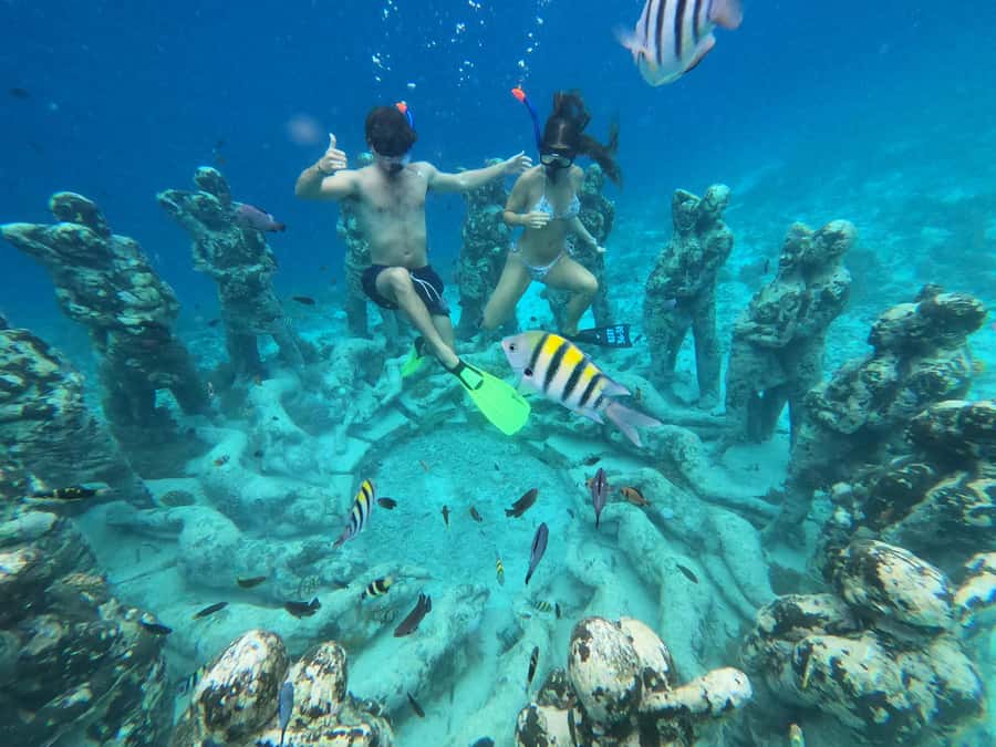 Gili Snorkeling Tour With GO PRO Documentation - Who should book it