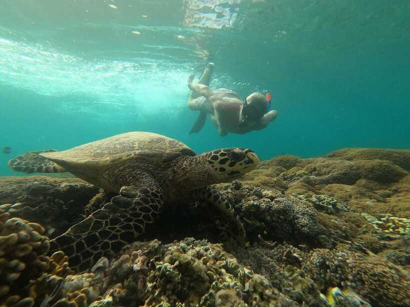 Gili SUNSET Snorkeling Tour With GOPRO Documentation - Shared boat, group size, and the pace of the outing
