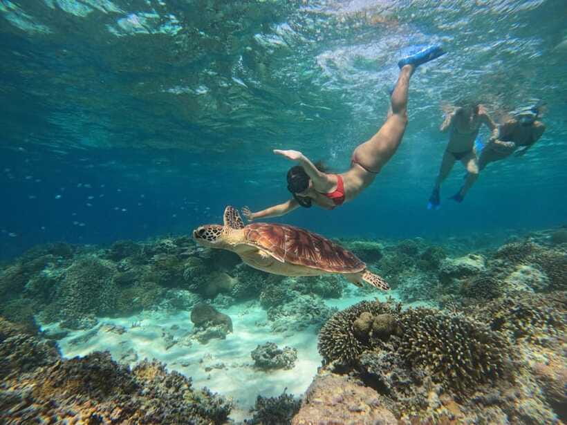 Gili SUNSET Snorkeling Tour With GOPRO Documentation - Is the price good value?