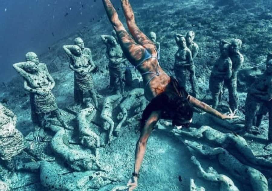 Gili T Island: Gili Snorkeling Day Trip Swim With Turtles - Should you book it?