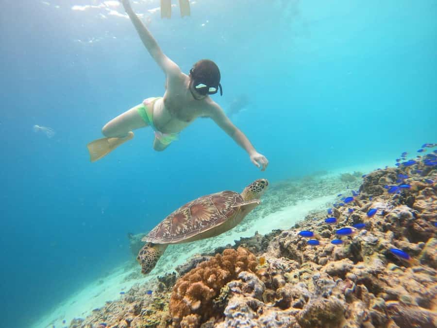 Gili T Island: Gili Snorkeling Day Trip Swim With Turtles - Starting near Kayu Cafe on Gili Trawangan