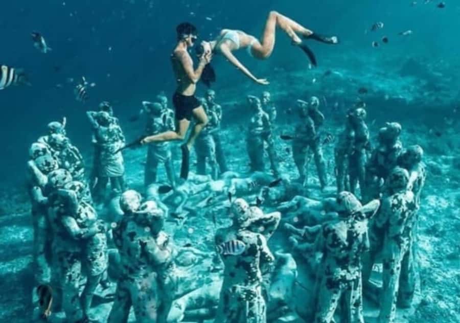 Gili T Island: Gili Snorkeling Day Trip Swim With Turtles - What the $13 price really covers