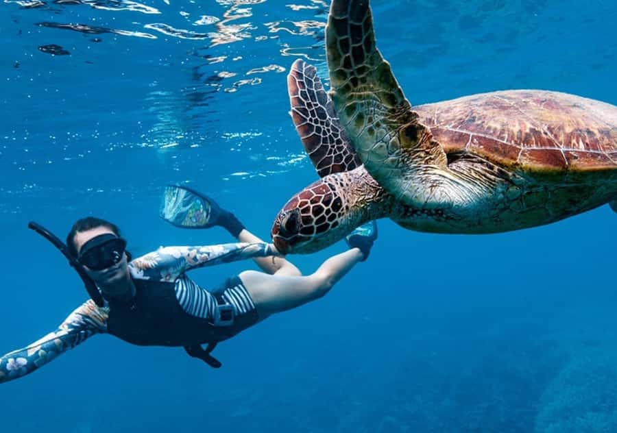 Gili T Island: Gili Snorkeling Day Trip Swim With Turtles - Timing, equipment, and comfort