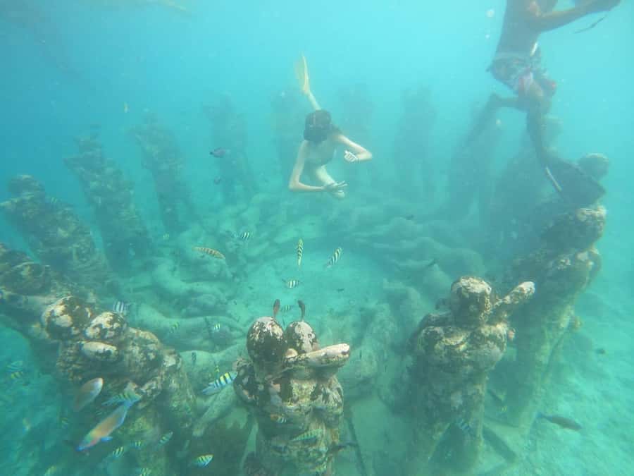 Gili T Island: Gili Snorkeling Day Trip Swim With Turtles - Swimming near turtles and coral