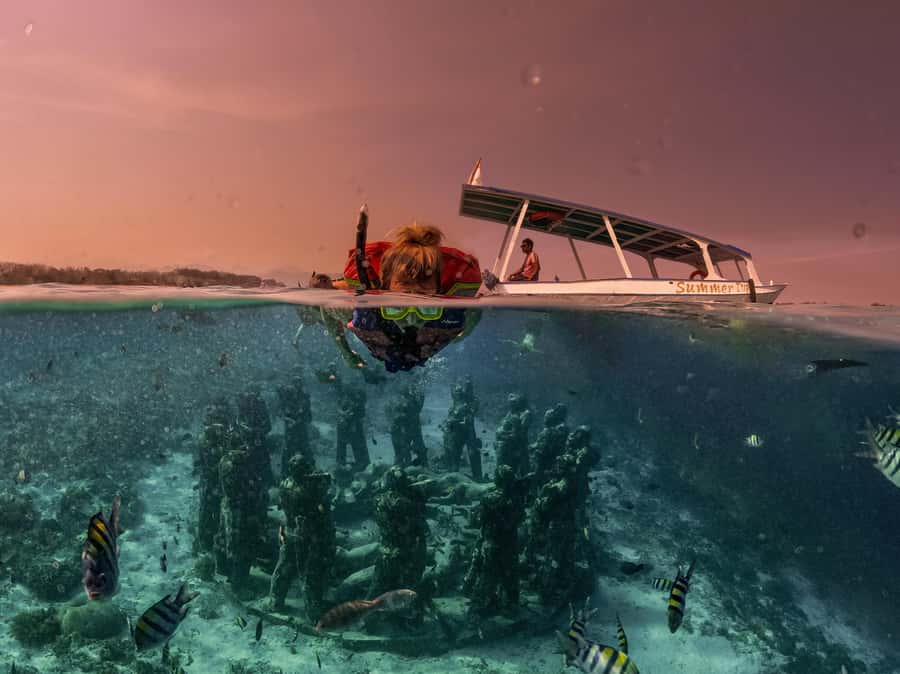 Gili Trawangan: Gili Islands Sunset Boat Tour and Snorkeling - Turtle Point and the Search for Sea Turtles