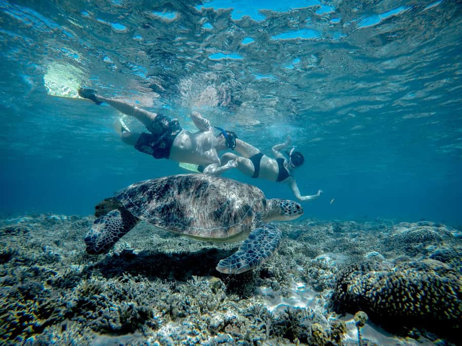 Gili Trawangan : Half Day Snorkeling with Turtle and Statue - Key points to know before you book