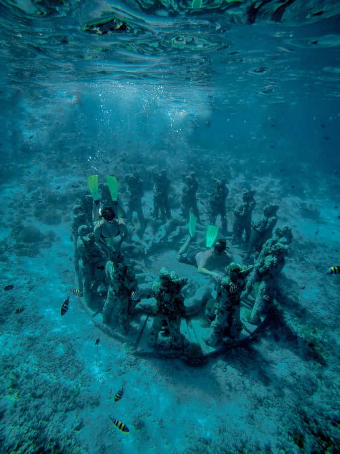 Gili Trawangan : Half Day Snorkeling with Turtle and Statue - Turtle Point and the limits of wildlife viewing