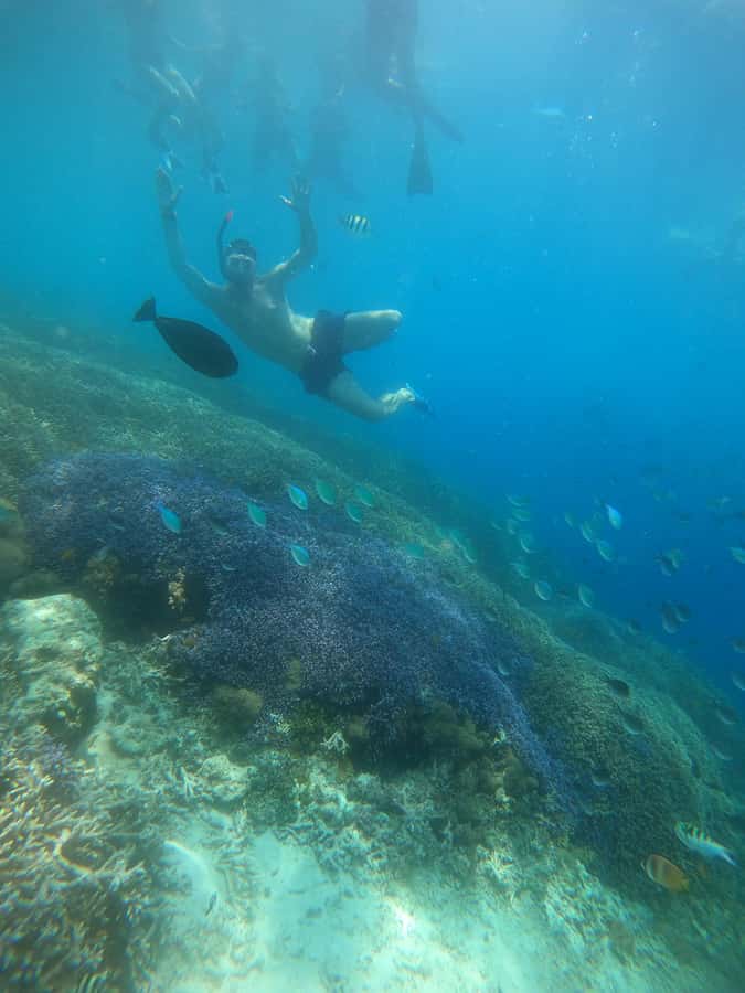Gili Trawangan : Half Day Snorkeling with Turtle and Statue - The glass-bottom boat: useful feature or small extra?