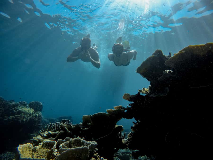 Gili Trawangan : Half Day Snorkeling with Turtle and Statue - Gili Meno’s 48 underwater statues