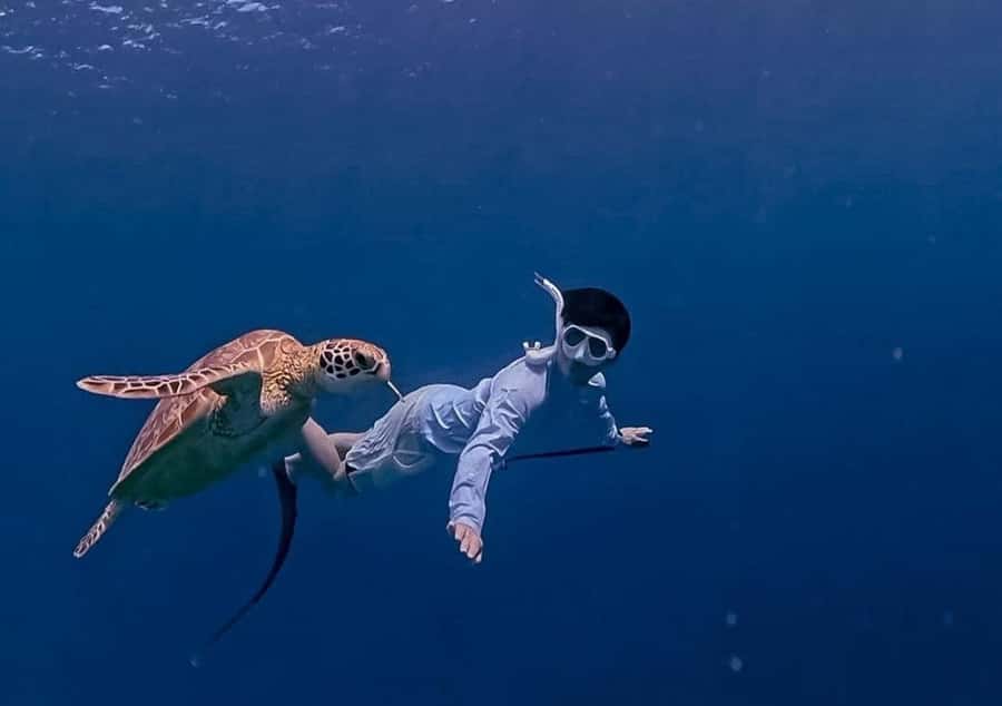 Gili Trawangan: Private Snorkeling 4 Spots Turtle with Gopro - Lunch on Gili Meno and the cost of the day