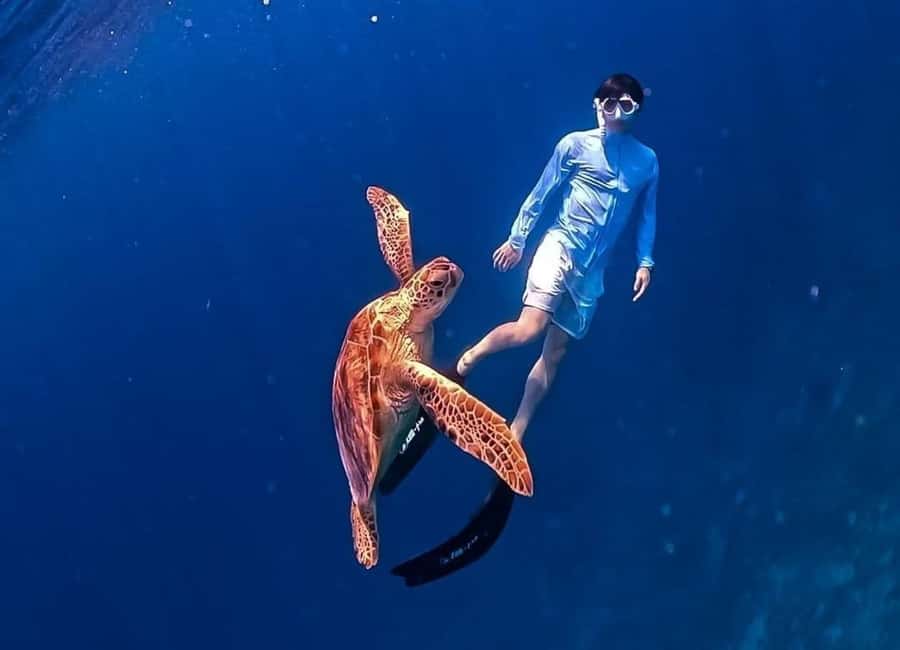 Gili Trawangan: Private Snorkeling 4 Spots Turtle with Gopro - GoPro photos are more useful than they sound