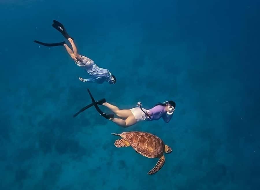 Gili Trawangan: Private Snorkeling 4 Spots Turtle with Gopro - What to bring and what to leave behind