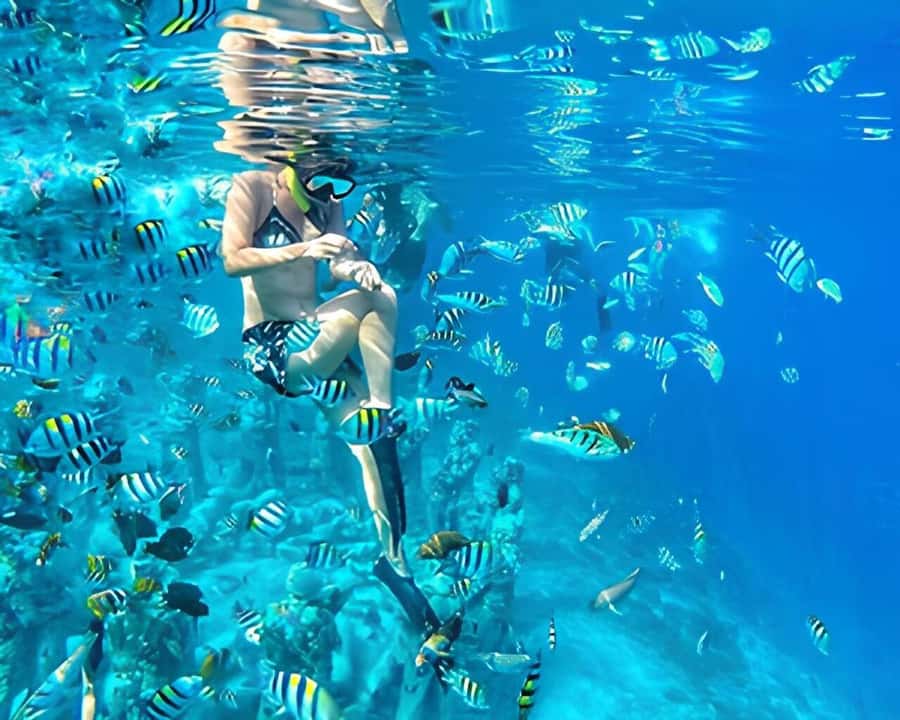 Gili Trawangan: Private Snorkeling 4 Spots Turtle with Gopro - The Meno Statue and submerged ruins
