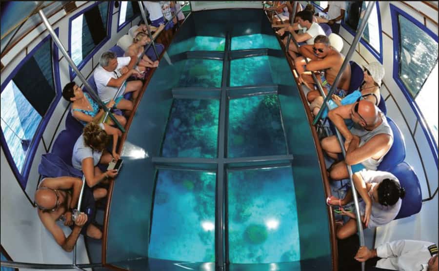 Glass Boat & Snorkeling with day use of Berenice Beach Club - Key details before you book