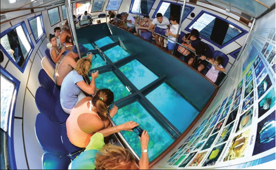 Glass Boat & Snorkeling with day use of Berenice Beach Club - Why the wrecks make this Aqaba boat trip different