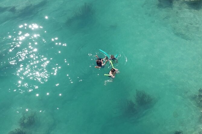 Glass Bottom Boat and Snorkeling Combo in Bermuda - Key points to know before booking