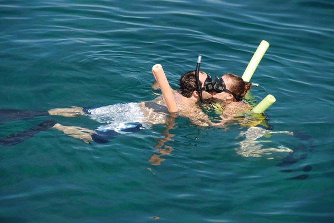 Glass Bottom Boat and Snorkeling Combo in Bermuda - From Royal Naval Dockyard to the Vixen